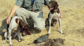 HPR GSP