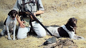 HPR GSP